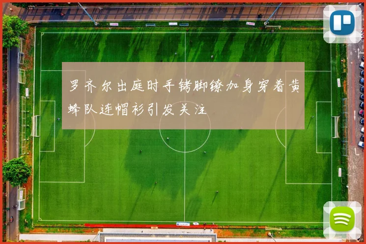 罗齐尔出庭时手铐脚镣加身穿着黄蜂队连帽衫引发关注