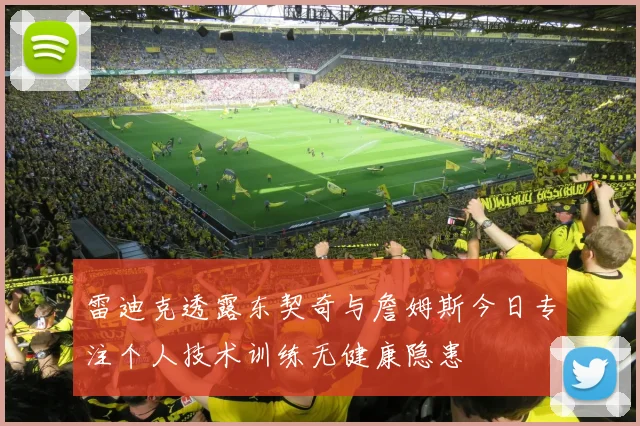 雷迪克透露东契奇与詹姆斯今日专注个人技术训练无健康隐患