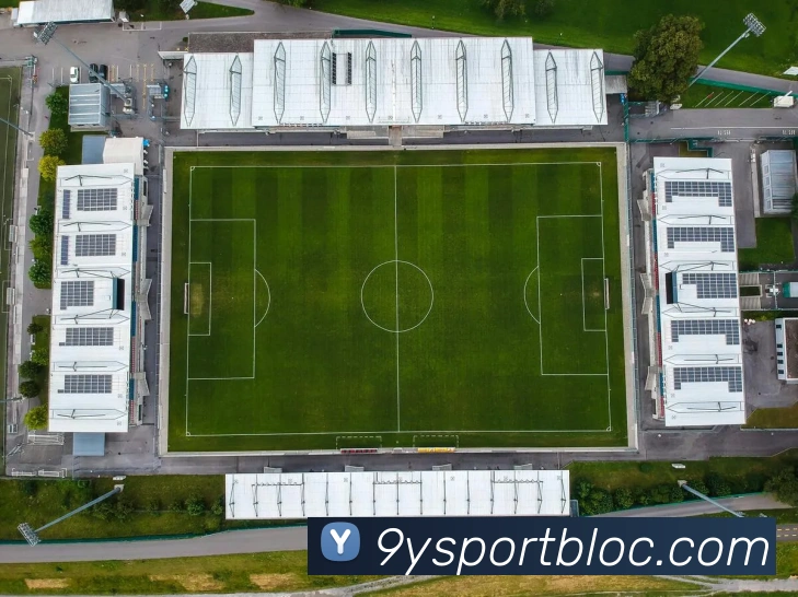 九游足球平台生态图